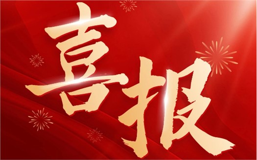 集团荣膺2025中国民营企业500强第249位，制造业民营企业500强第177位，排名较去年双双大幅提升